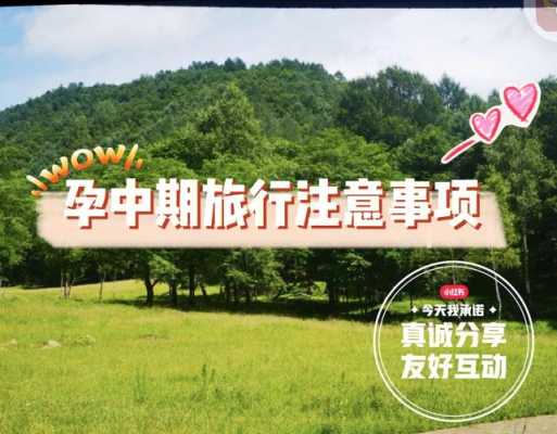 适合孕期旅行(孕妇可以去旅游的吗) 第3张 适合孕期旅行(孕妇可以去旅游的吗) 第3张