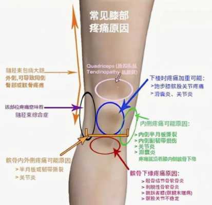 孕妇膝盖疼痛是怎么了?我现在疼的都没法走路了,好难受啊,孕期关节疼痛什么原因 第1张 孕妇膝盖疼痛是怎么了?我现在疼的都没法走路了,好难受啊,孕期关节疼痛什么原因 第1张