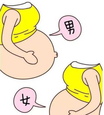 胎儿踢肚子看男女(胎儿踢肚子看男女准吗) 第2张 胎儿踢肚子看男女(胎儿踢肚子看男女准吗) 第2张