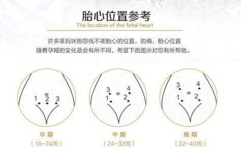 几周能听到胎儿心跳(请问一下孕妈妈,怀孕多久检查,能听到宝宝的心跳呢) 第2张 几周能听到胎儿心跳(请问一下孕妈妈,怀孕多久检查,能听到宝宝的心跳呢) 第2张