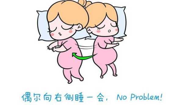 左侧睡时胎儿图片(左侧睡时胎儿的姿势图片) 第2张 左侧睡时胎儿图片(左侧睡时胎儿的姿势图片) 第2张