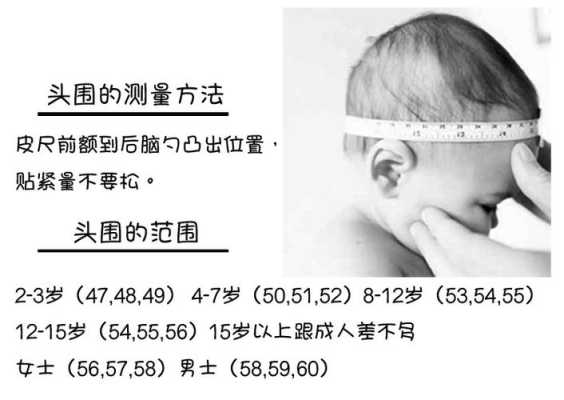 胎儿头围怎么量(帽子尺寸怎么量) 第3张 胎儿头围怎么量(帽子尺寸怎么量) 第3张