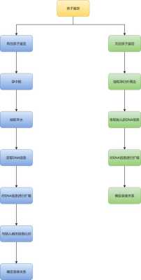 亲子鉴定带宝宝去怎么做,胎儿绒毛亲子鉴定流程图 第2张 亲子鉴定带宝宝去怎么做,胎儿绒毛亲子鉴定流程图 第2张