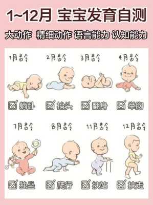 8月宝宝如何早教及发育指标,8月胎儿姿势图片 第3张 8月宝宝如何早教及发育指标,8月胎儿姿势图片 第3张
