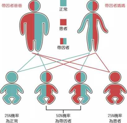 地中海贫血严重吗?孩子能要吗,孕妇地贫宝宝能要吗 第2张 地中海贫血严重吗?孩子能要吗,孕妇地贫宝宝能要吗 第2张
