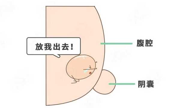 宝宝隐睾手术怎么做,孕期怎么避免胎儿隐睾发生 第2张 宝宝隐睾手术怎么做,孕期怎么避免胎儿隐睾发生 第2张