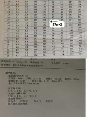 胎儿开始偏大后来偏小（使天平的测量结果偏大、偏小的情况）  第1张