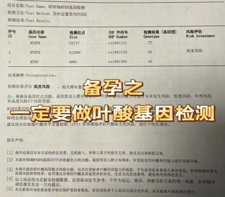 孕期叶酸测定(叶酸检测有必要做吗) 第1张 孕期叶酸测定(叶酸检测有必要做吗) 第1张