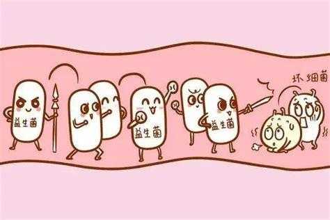 孕期吃益生菌(孕期吃益生菌对胎儿有影响吗) 第2张 孕期吃益生菌(孕期吃益生菌对胎儿有影响吗) 第2张