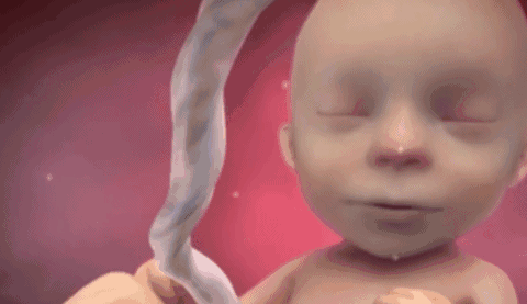 孕妇翻身对胎儿图片(世界上最早的婴儿翻身记录) 第1张 孕妇翻身对胎儿图片(世界上最早的婴儿翻身记录) 第1张