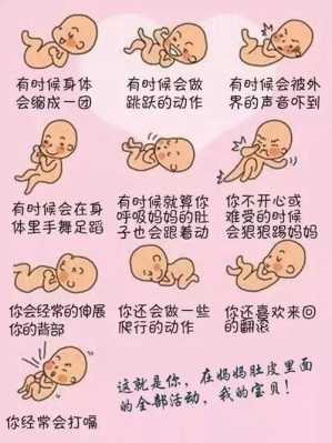 孕期各种反应(孕期各种反应是根据胎儿孕周来判断吗) 第2张 孕期各种反应(孕期各种反应是根据胎儿孕周来判断吗) 第2张