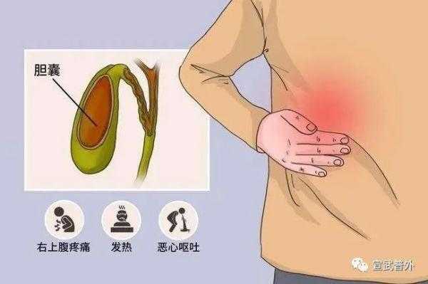孕25周,检查不到胎儿胆囊,该咋办,胎儿没胆囊会怎样呢 第2张 孕25周,检查不到胎儿胆囊,该咋办,胎儿没胆囊会怎样呢 第2张