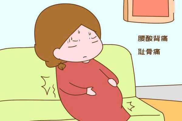 孕晚期胎儿在肚子颤抖,是正常现象吗,孕晚期胎儿突然抖动一下怎么回事 第2张 孕晚期胎儿在肚子颤抖,是正常现象吗,孕晚期胎儿突然抖动一下怎么回事 第2张