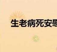 安慰失去胎儿的句子(安慰失去胎儿的句子简短) 第3张 安慰失去胎儿的句子(安慰失去胎儿的句子简短) 第3张