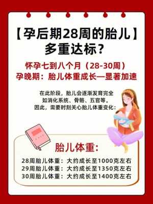 孕晚期胎儿每周增重(孕晚期胎儿每周增重多少正常) 第2张 孕晚期胎儿每周增重(孕晚期胎儿每周增重多少正常) 第2张