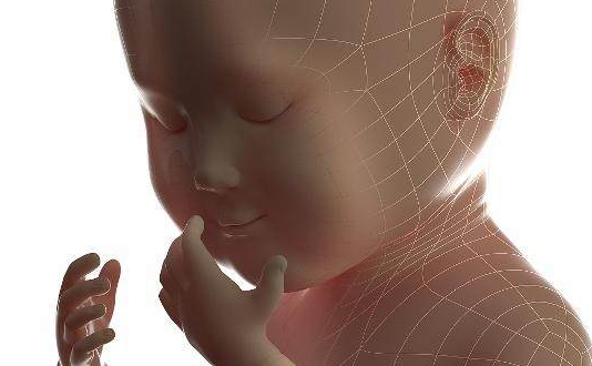 两个月婴儿的正确背法,孕妇背怀胎儿图片对比  第3张