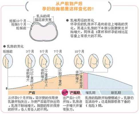 孕妇憋气致胎儿死(孕妇憋气致胎儿死亡的原因) 第1张 孕妇憋气致胎儿死(孕妇憋气致胎儿死亡的原因) 第1张