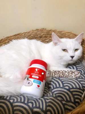 小猫不吃钙片怎么办,孕期不吃钙片对宝宝有影响吗 第1张 小猫不吃钙片怎么办,孕期不吃钙片对宝宝有影响吗 第1张