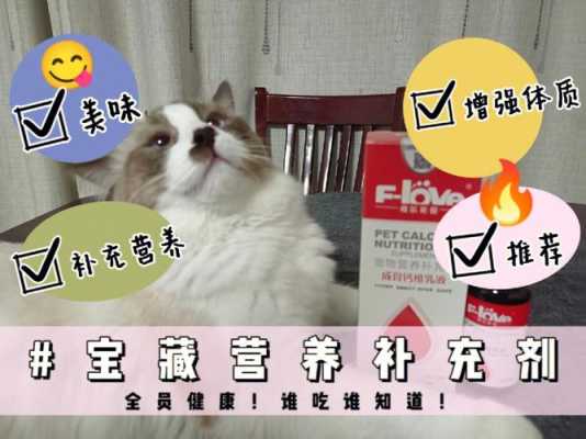 小猫不吃钙片怎么办,孕期不吃钙片对宝宝有影响吗 第2张 小猫不吃钙片怎么办,孕期不吃钙片对宝宝有影响吗 第2张
