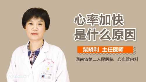 孕期心跳加快(孕期心跳加快怎么回事) 第2张 孕期心跳加快(孕期心跳加快怎么回事) 第2张