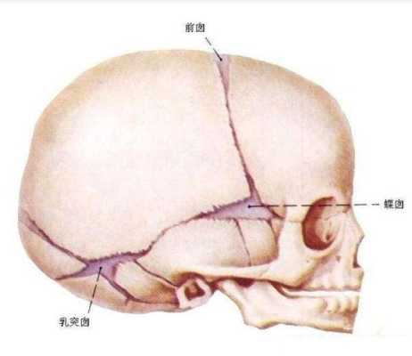 胎儿颅骨缺失会长好吗(颅骨缺损属于几级伤残) 第2张 胎儿颅骨缺失会长好吗(颅骨缺损属于几级伤残) 第2张