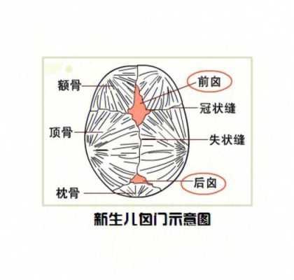 胎儿颅骨缺失会长好吗(颅骨缺损属于几级伤残) 第3张 胎儿颅骨缺失会长好吗(颅骨缺损属于几级伤残) 第3张