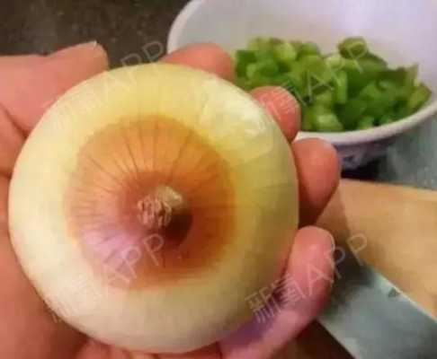 孕期乳晕变黑(怀孕后乳房变黑怎么回事) 第3张 孕期乳晕变黑(怀孕后乳房变黑怎么回事) 第3张