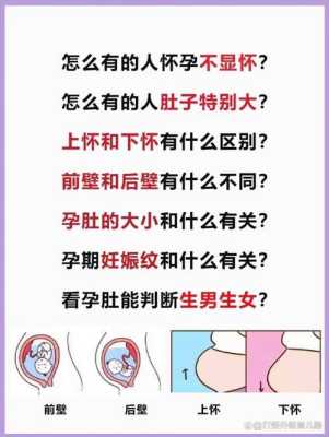 孕期前壁(着床于前壁及后壁啥意思) 第2张 孕期前壁(着床于前壁及后壁啥意思) 第2张