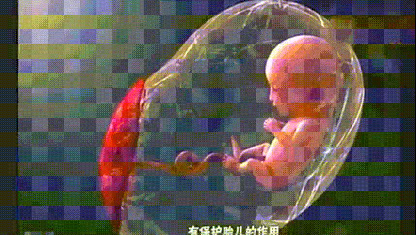 孕20周了,胎动到底是怎样的,孕期20周胎儿图片大全 第2张 孕20周了,胎动到底是怎样的,孕期20周胎儿图片大全 第2张