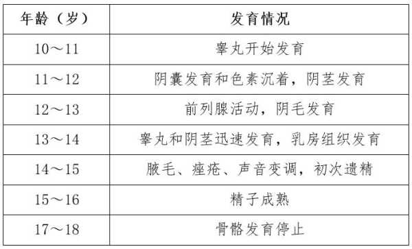 男性胎儿睾丸发育时间(男孩发育最快的时间有几年) 第2张 男性胎儿睾丸发育时间(男孩发育最快的时间有几年) 第2张