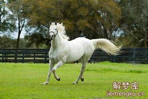 骑马赶路什么意思,孕期梦见骑马是什么兆头  第2张
