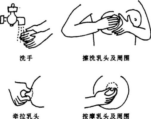 孕期奶头护理(孕期奶头护理怎么做) 第2张 孕期奶头护理(孕期奶头护理怎么做) 第2张