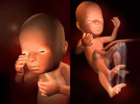 28周的宝宝会在肚子哪个位置,怀孕28周胎儿图片真人 第1张 28周的宝宝会在肚子哪个位置,怀孕28周胎儿图片真人 第1张