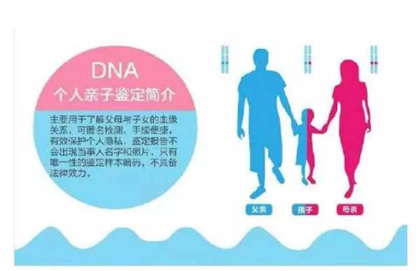 dna亲子鉴定哪里可以做,胎儿亲子鉴定去哪做比较好 第1张 dna亲子鉴定哪里可以做,胎儿亲子鉴定去哪做比较好 第1张