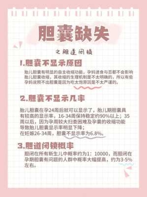 胎儿未见胆囊临床经验(胎儿未见胆囊临床经验) 第1张 胎儿未见胆囊临床经验(胎儿未见胆囊临床经验) 第1张