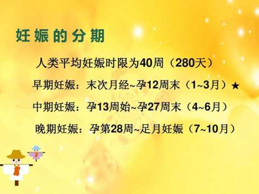 孕期如何分期(孕期如何分期及应注意事项) 第3张 孕期如何分期(孕期如何分期及应注意事项) 第3张