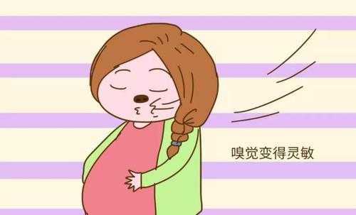 怀孕了下面有异味怎么回事,孕期味道很重怎么缓解  第1张