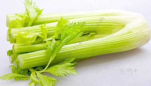 孕期吃芹菜(孕期吃芹菜对胎儿有什么好处) 第1张 孕期吃芹菜(孕期吃芹菜对胎儿有什么好处) 第1张