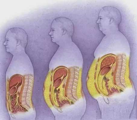 哺乳期怎样消耗母体脂肪,胎儿会吸收母体脂肪吗知乎 第2张 哺乳期怎样消耗母体脂肪,胎儿会吸收母体脂肪吗知乎 第2张