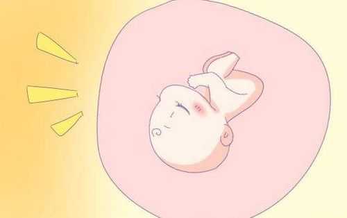 胎儿在下腹动正常吗(胎儿在肚子里连续抖动的是怎么回事啊?有些担心的) 第2张 胎儿在下腹动正常吗(胎儿在肚子里连续抖动的是怎么回事啊?有些担心的) 第2张