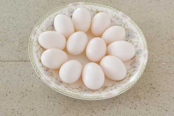 孕期吃鸽子蛋(鸽子蛋是什么) 第3张 孕期吃鸽子蛋(鸽子蛋是什么) 第3张