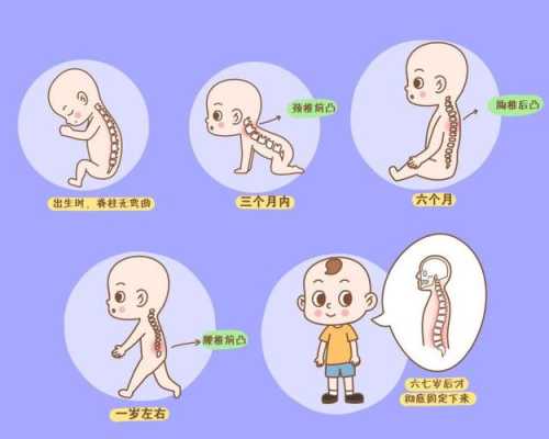 宝宝脖子什么时候变长,胎儿脊椎什么时候发育完善 第2张 宝宝脖子什么时候变长,胎儿脊椎什么时候发育完善 第2张
