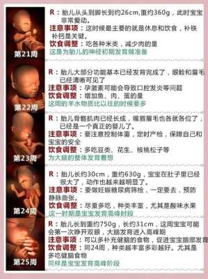 胎儿脑积液该注意什么(胎儿脑积液该注意什么) 第2张 胎儿脑积液该注意什么(胎儿脑积液该注意什么) 第2张