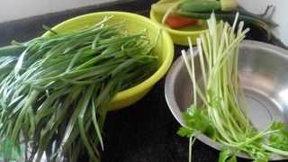 孕期韭菜能吃吗(孕妇血糖高早餐可以吃自己包的瘦肉韭菜加点芹菜馅的饺子吗) 第3张 孕期韭菜能吃吗(孕妇血糖高早餐可以吃自己包的瘦肉韭菜加点芹菜馅的饺子吗) 第3张