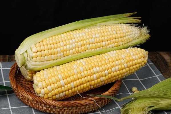 孕期吃玉米好吗(怀孕血糖高可以吃玉米吗) 第2张 孕期吃玉米好吗(怀孕血糖高可以吃玉米吗) 第2张