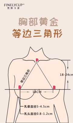 孕期乳房外扩(胸型外扩怎么办) 第3张 孕期乳房外扩(胸型外扩怎么办) 第3张