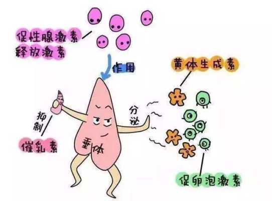 非孕期泌乳(非孕期泌乳素高的原因及后果) 第2张 非孕期泌乳(非孕期泌乳素高的原因及后果) 第2张