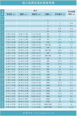 30周胎儿发育标准数值(30周胎儿发育标准数值是多少) 第2张 30周胎儿发育标准数值(30周胎儿发育标准数值是多少) 第2张