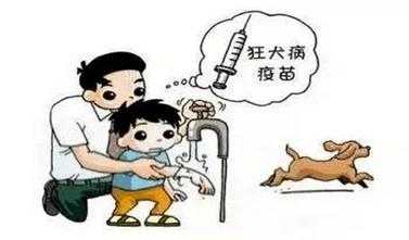 狂犬疫苗会影响胎儿吗(小孩打狂犬疫苗有副作用么) 第1张 狂犬疫苗会影响胎儿吗(小孩打狂犬疫苗有副作用么) 第1张
