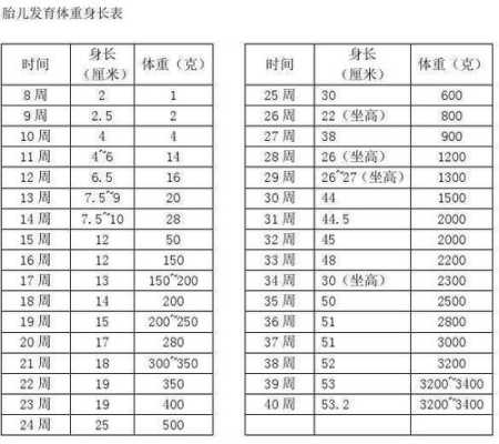 37周胎儿多重属于正常（37周胎儿多重属于正常范围）  第1张